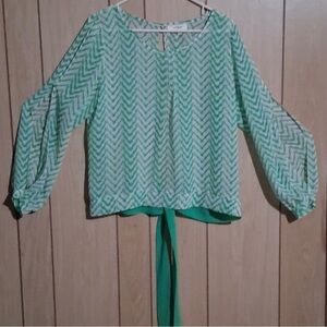 Umgee Mint Chevron Open Back Top